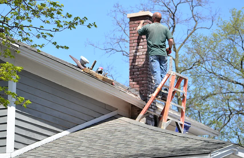 Chimney & Fireplace Inspections Services in Dubuque, IA